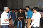 Brother of Bommali Movie Audio Launch 02 - 49 of 304