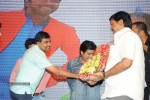 Brother of Bommali Movie Audio Launch 02 - 87 of 304