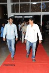 Brother of Bommali Movie Audio Launch 02 - 93 of 304