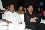 Brother of Bommali Movie Audio Launch 02 - 96 of 304