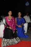 Brother of Bommali Movie Audio Launch 02 - 98 of 304