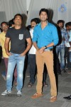 Brother of Bommali Movie Audio Launch 02 - 108 of 304