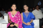 Brother of Bommali Movie Audio Launch 02 - 111 of 304