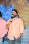 Brother of Bommali Movie Audio Launch 02 - 116 of 304