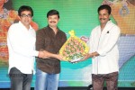 Brother of Bommali Movie Audio Launch 02 - 119 of 304