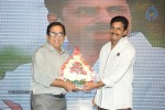 Brother of Bommali Movie Audio Launch 02 - 125 of 304