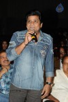 Brother of Bommali Movie Audio Launch 02 - 126 of 304