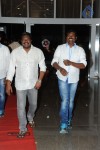 Brother of Bommali Movie Audio Launch 02 - 129 of 304