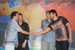 Brother of Bommali Movie Audio Launch 02 - 134 of 304