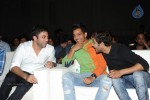 Brother of Bommali Movie Audio Launch 02 - 139 of 304