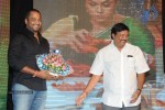 Brother of Bommali Movie Audio Launch 02 - 145 of 304