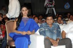 Brother of Bommali Movie Audio Launch 02 - 146 of 304