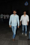 Brother of Bommali Movie Audio Launch 02 - 150 of 304