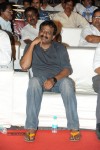 Brother of Bommali Movie Audio Launch 02 - 151 of 304