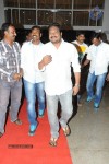 Brother of Bommali Movie Audio Launch 02 - 153 of 304