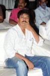 Brother of Bommali Movie Audio Launch 02 - 156 of 304