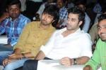 Brother of Bommali Movie Audio Launch 02 - 159 of 304