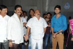Brother of Bommali Movie Audio Launch 02 - 161 of 304
