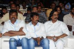 Brother of Bommali Movie Audio Launch 02 - 162 of 304
