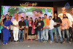Brother of Bommali Movie Audio Launch 02 - 164 of 304