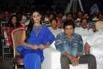 Brother of Bommali Movie Audio Launch 02 - 166 of 304
