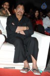 Brother of Bommali Movie Audio Launch 02 - 201 of 304