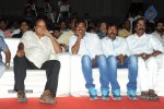 Brother of Bommali Movie Audio Launch 02 - 202 of 304
