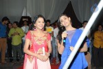 Brother of Bommali Movie Audio Launch 02 - 209 of 304