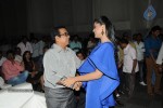 Brother of Bommali Movie Audio Launch 02 - 212 of 304