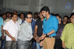 Brother of Bommali Movie Audio Launch 02 - 216 of 304