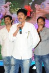 Brother of Bommali Movie Audio Launch 02 - 217 of 304