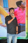 Brother of Bommali Movie Audio Launch 02 - 219 of 304