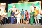 Brother of Bommali Movie Audio Launch 02 - 224 of 304
