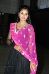 Brother of Bommali Movie Audio Launch 02 - 249 of 304