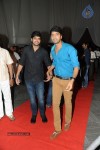 Brother of Bommali Movie Audio Launch 02 - 255 of 304