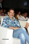 Brother of Bommali Movie Audio Launch 02 - 266 of 304