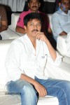 Brother of Bommali Movie Audio Launch 02 - 267 of 304