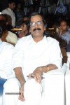 Brother of Bommali Movie Audio Launch 02 - 284 of 304