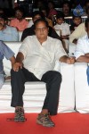 Brother of Bommali Movie Audio Launch 02 - 285 of 304