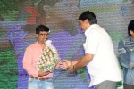 Brother of Bommali Movie Audio Launch 02 - 291 of 304
