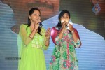 Brother of Bommali Movie Audio Launch 02 - 296 of 304