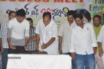 Brother Of Bommali Success Meet - 43 of 73