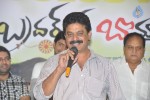 Brother Of Bommali Success Meet - 63 of 73