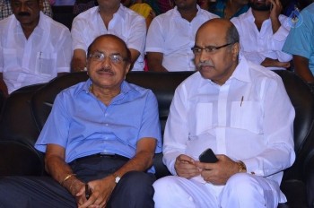 Bruce Lee 2 Audio Launch Photos - 28 of 30