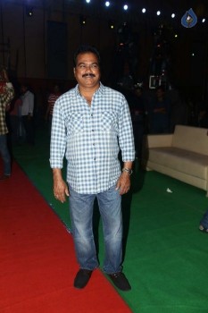 Bruce Lee Audio Launch 1 - 30 of 30