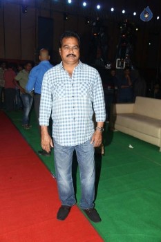 Bruce Lee Audio Launch 1 - 38 of 30