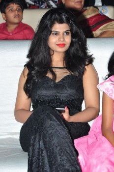 Bruce Lee Audio Launch 3 - 42 of 96