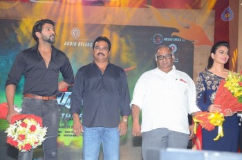 Bruce Lee Audio Launch 3 - 90 of 96