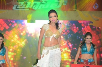 Bruce Lee Audio Launch 3 - 92 of 96