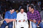 Buchi Babu Movie Audio Launch - 45 of 83